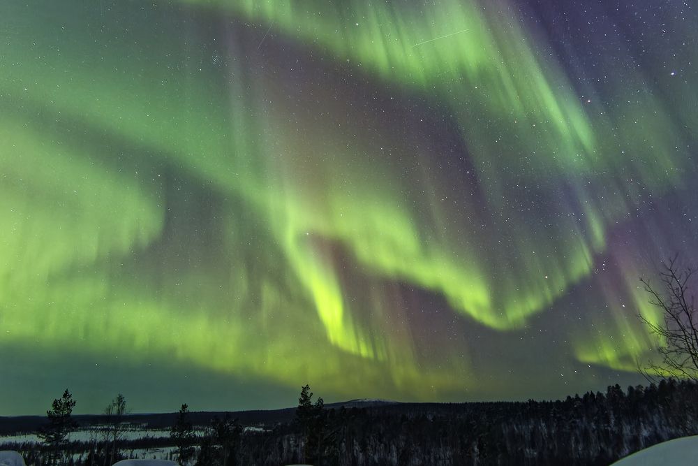 Photograph by Галина Андреева