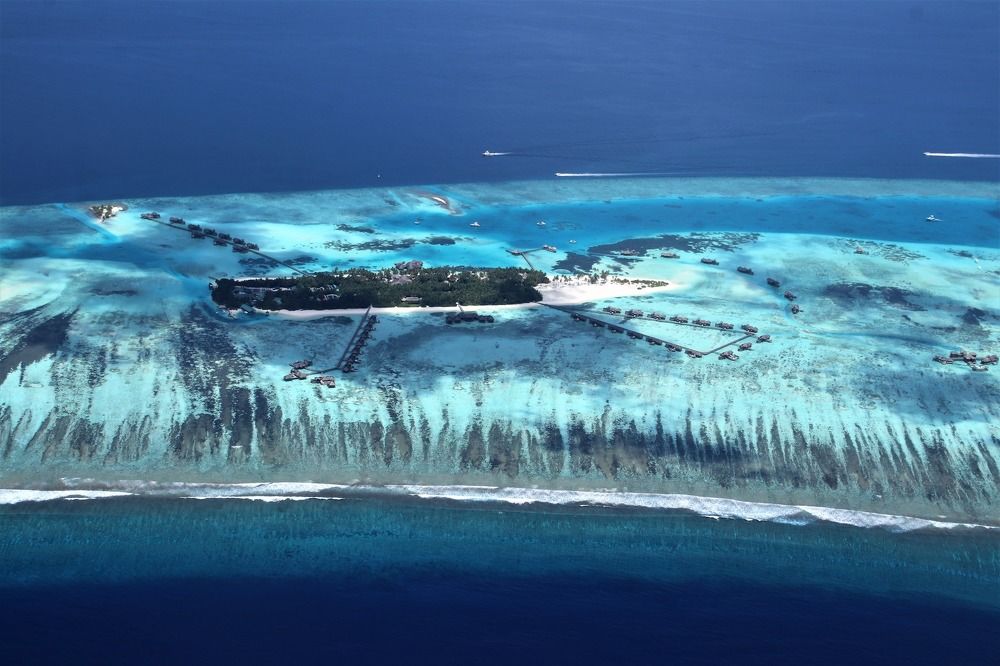 Фотография автора caroline martin (dony)