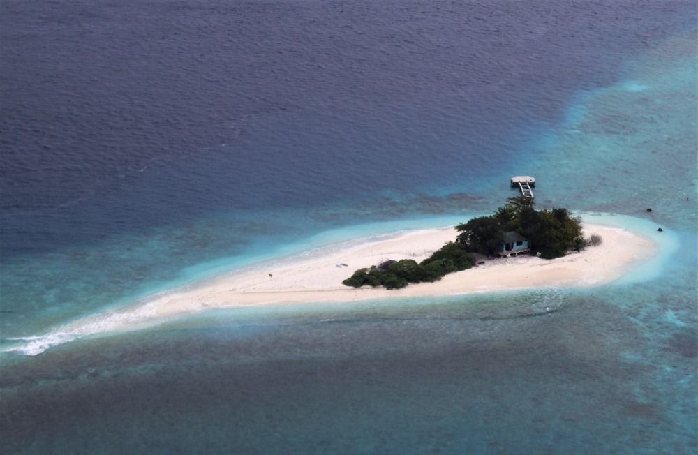 Фотография автора caroline martin (dony)