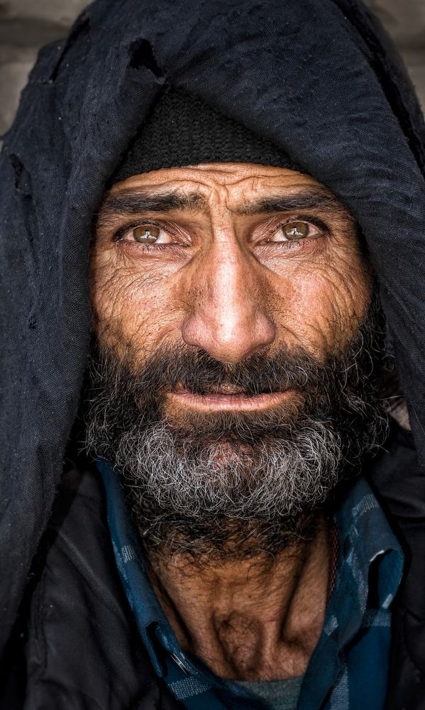 Photograph by mehdi shirvani