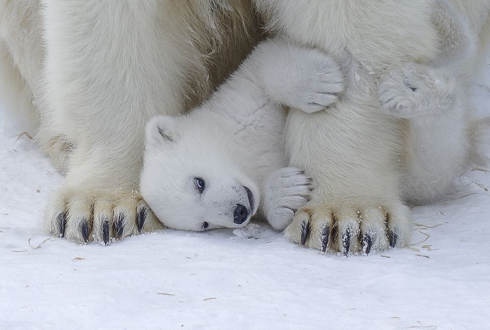 Photograph by Михаил Измайлов