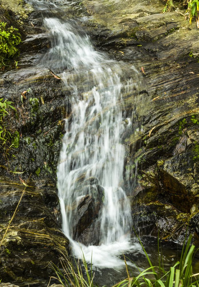 Photograph by Régis Santos