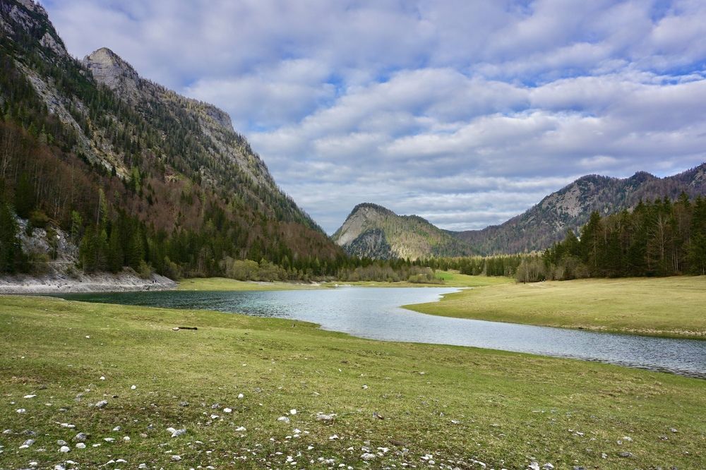 Фотография автора 