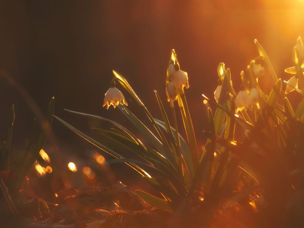 Photograph by Владимир