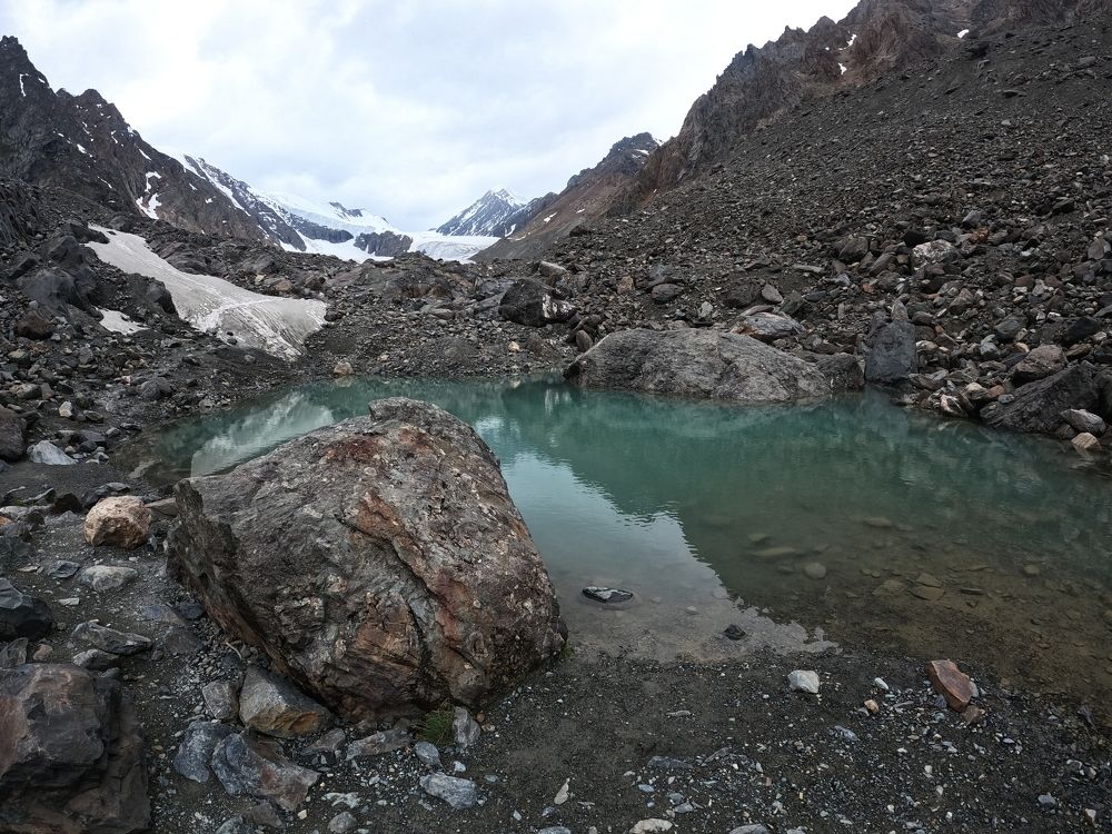 Photo #9040471