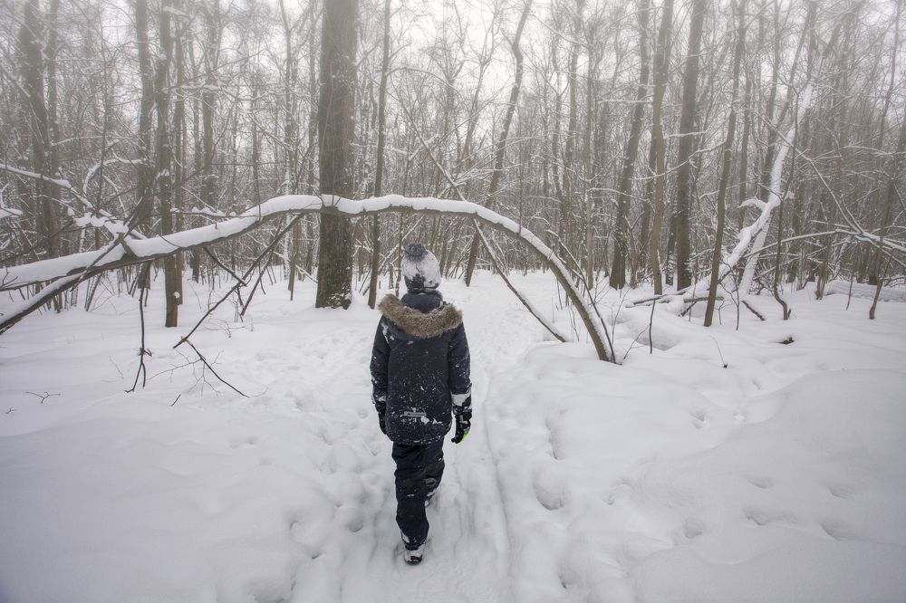 Photograph by Сергей Старостин