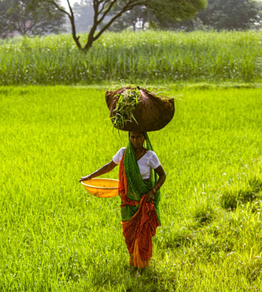 Photograph by Roshni