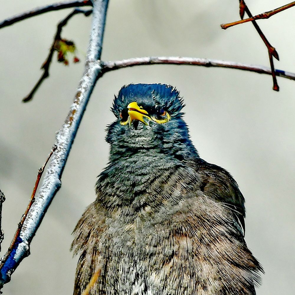 Photograph by Александр Катунцев