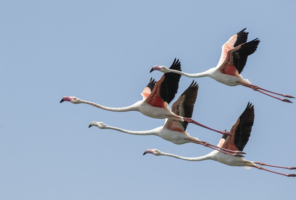 Photograph by Валентина Лопаткина