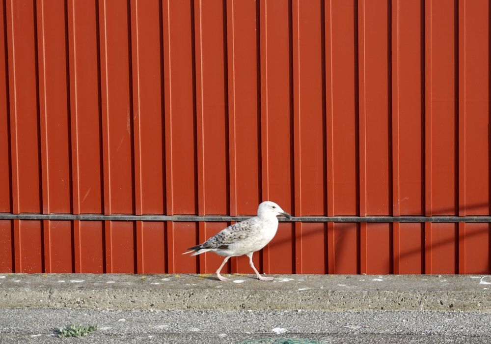 Фотография автора Liudmila Kiermeier