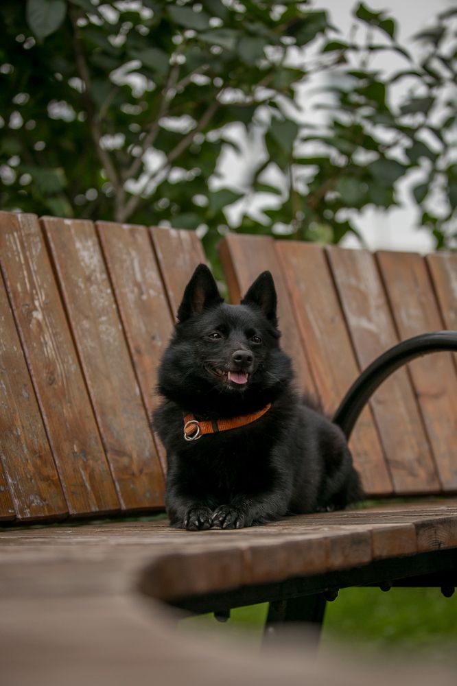 Photograph by Ольга Мазурова