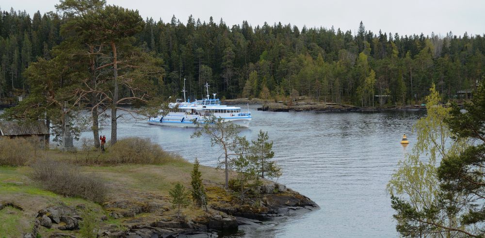 Photograph by Николай Тимофеев