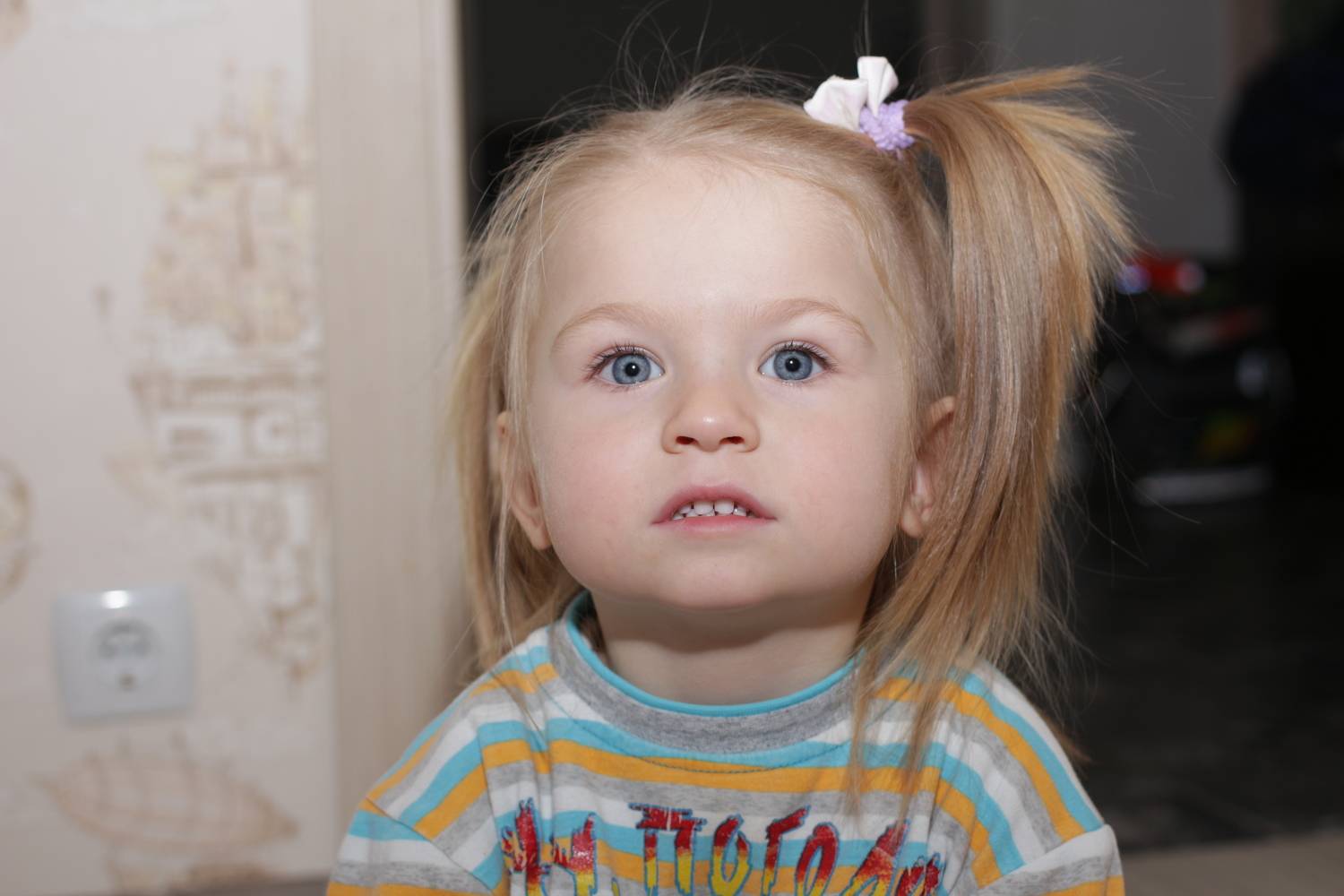 Photo #9040768