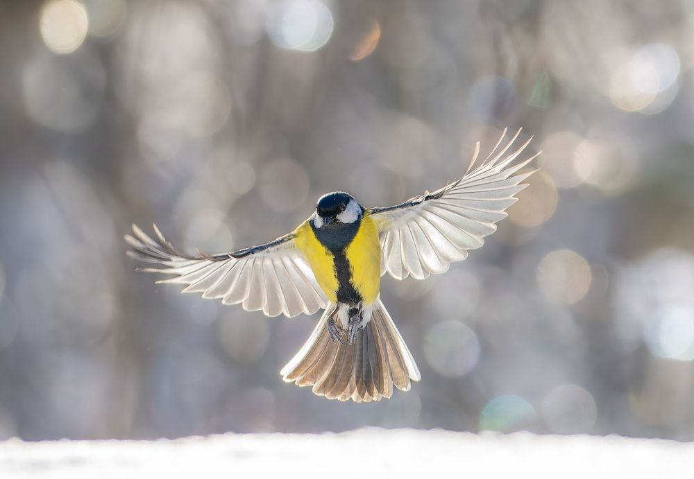 Photograph by Алексей Зайцев