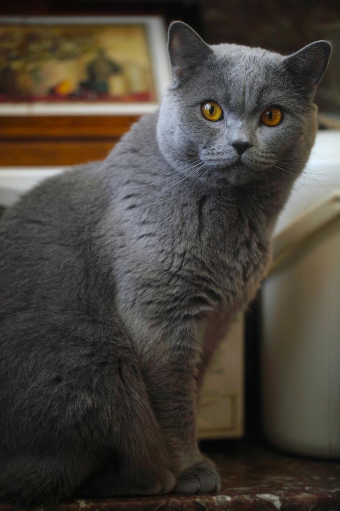 Photograph by Константин Лагоденко