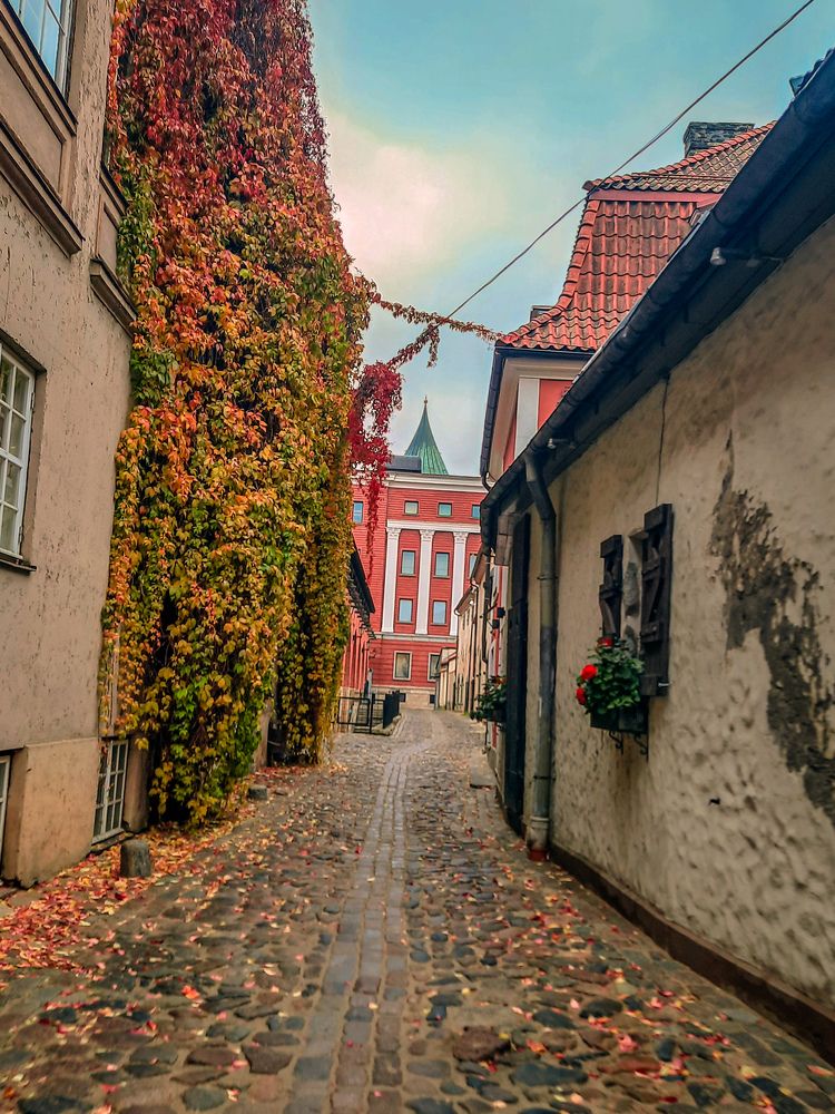 Фотография автора Лена Гром