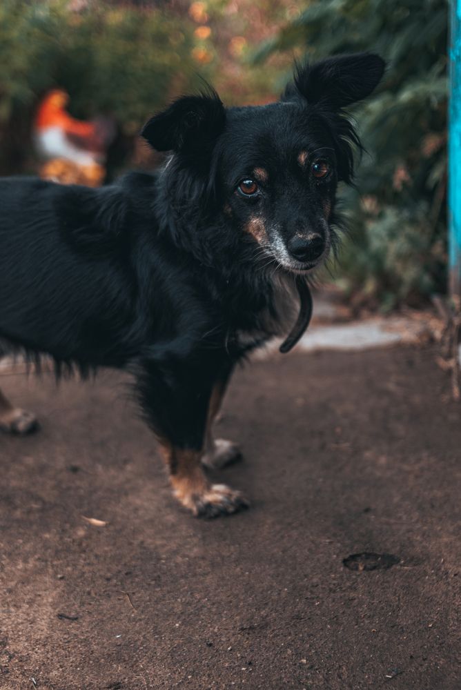 Photograph by Екатерина Алексеева