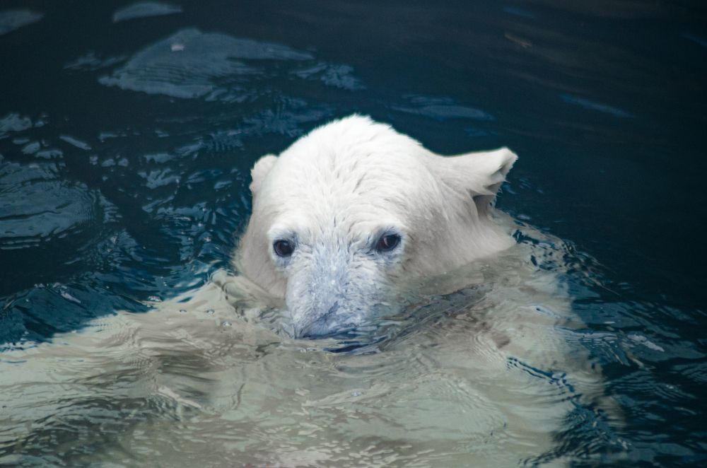 Photograph by Савенко Кирилл