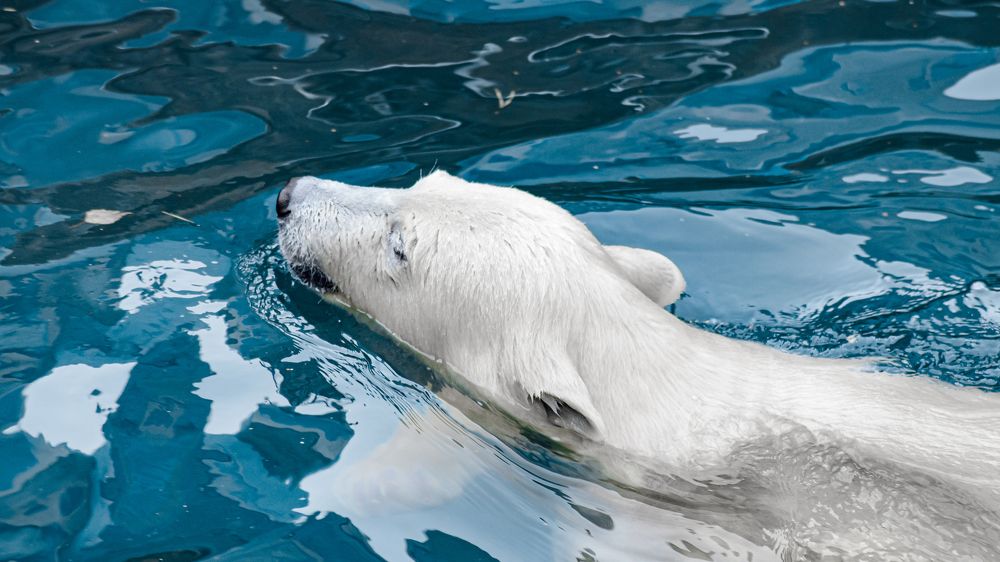 Photograph by Савенко Кирилл