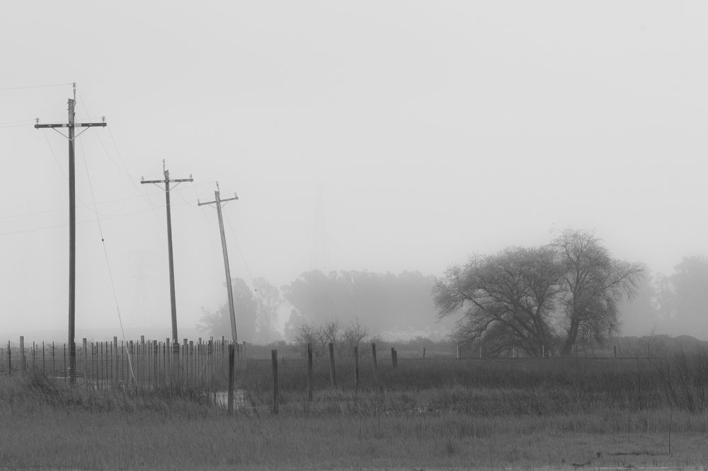 Photograph by Ekaterina Erofeeva