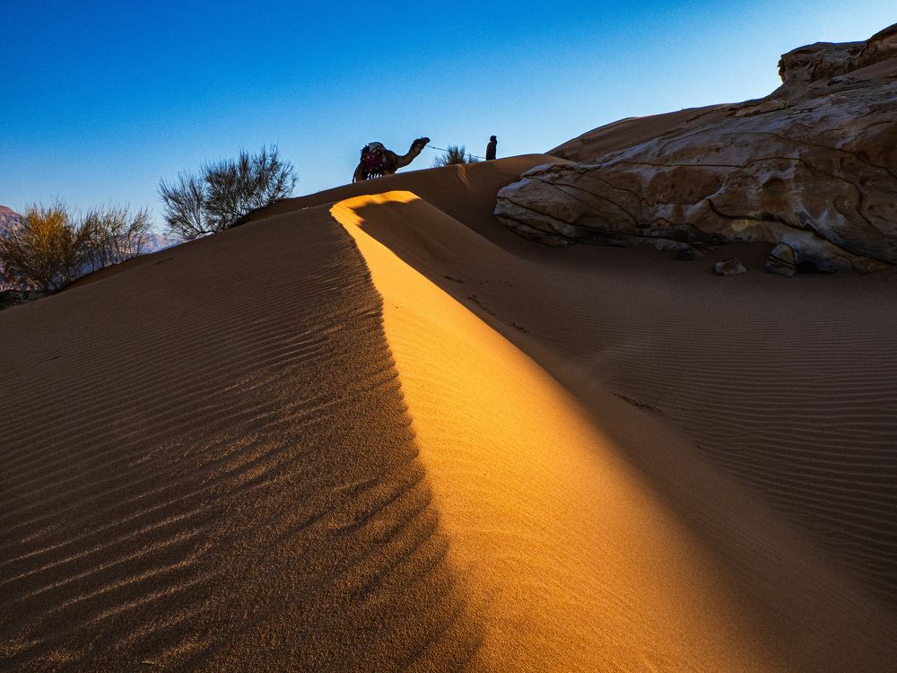 Photograph by Svetlana Kirzh