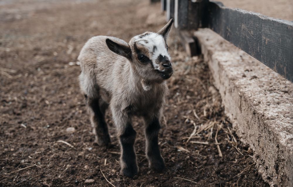 Photograph by Марьям Цимбельман