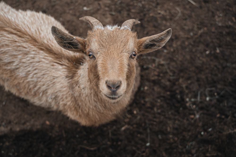 Photograph by Марьям Цимбельман