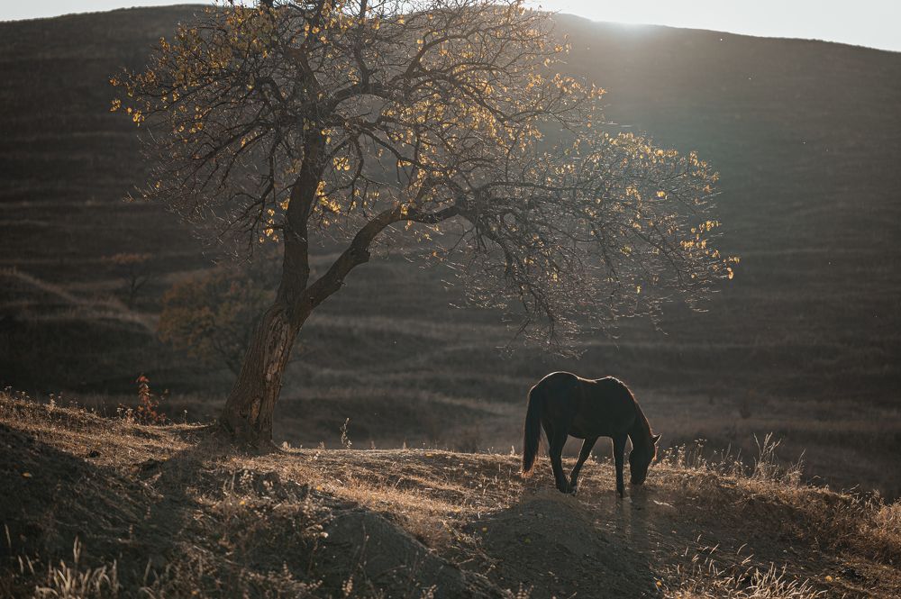 Photograph by Марьям Цимбельман