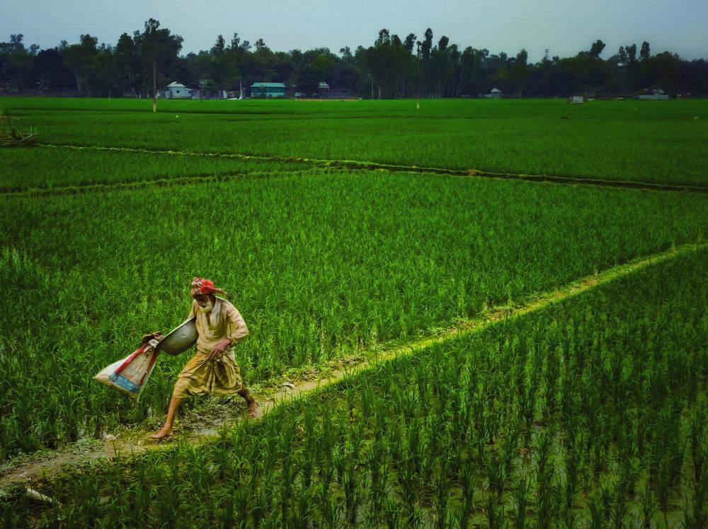 The Ultimate Warrior of the nation