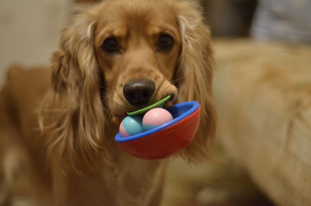 Photograph by Яна Мариненко