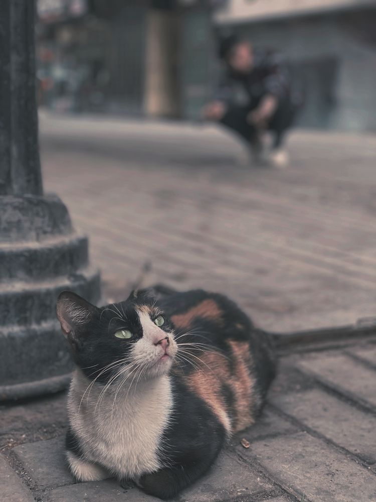 Photograph by ZIAD ASHRAF