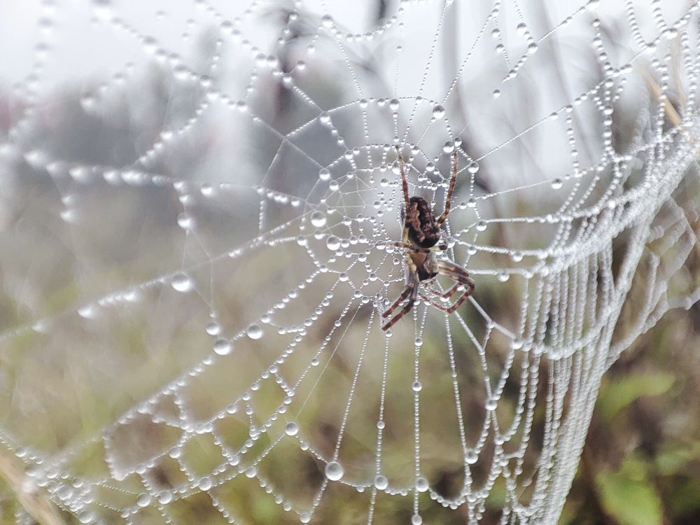 Photograph by Berti Wijaya