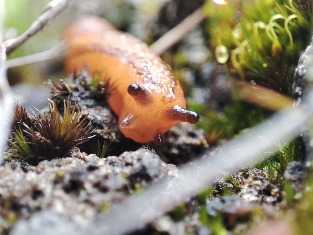 Photograph by Berti Wijaya