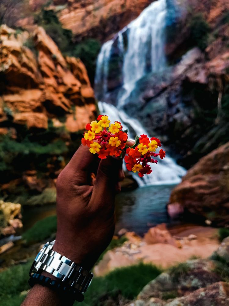 Photograph by Salmaan dada