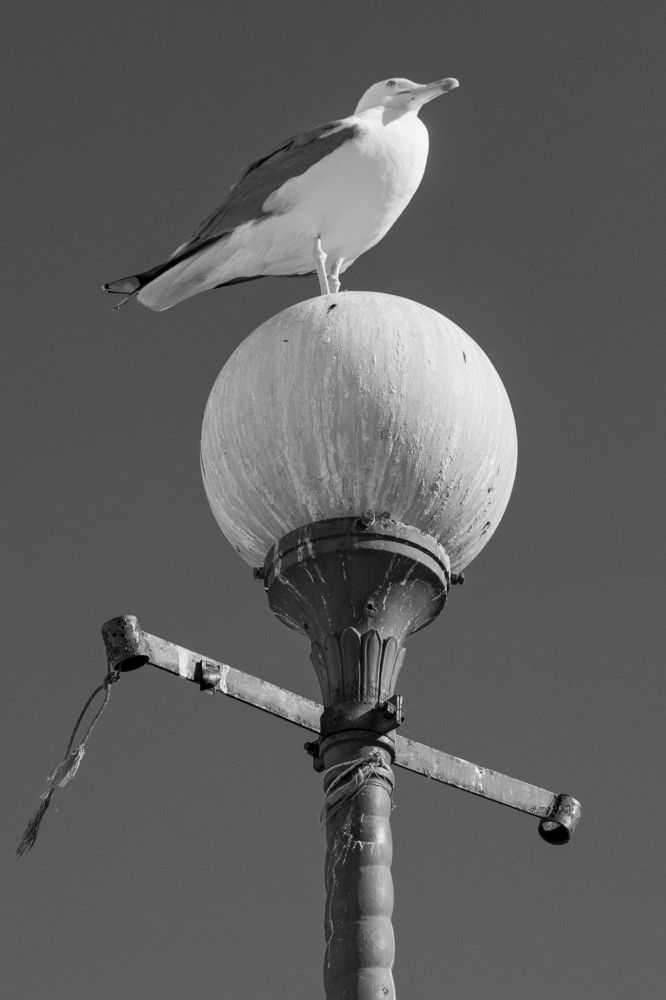 Photograph by SIMONE CIULLI