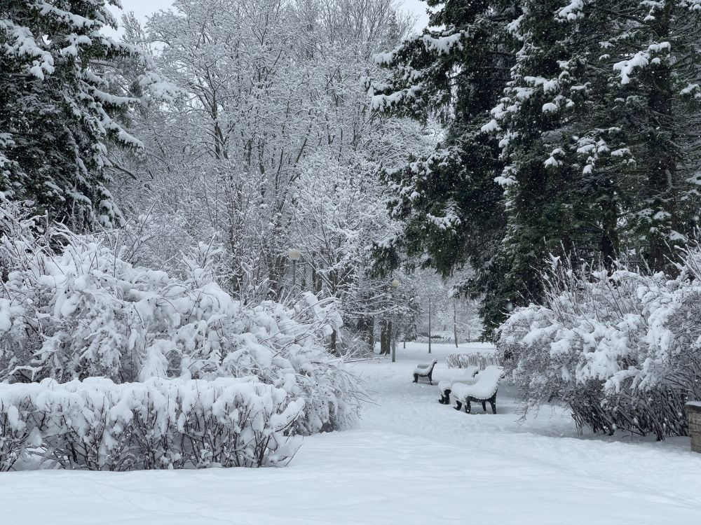 Photograph by Гордий Михаил