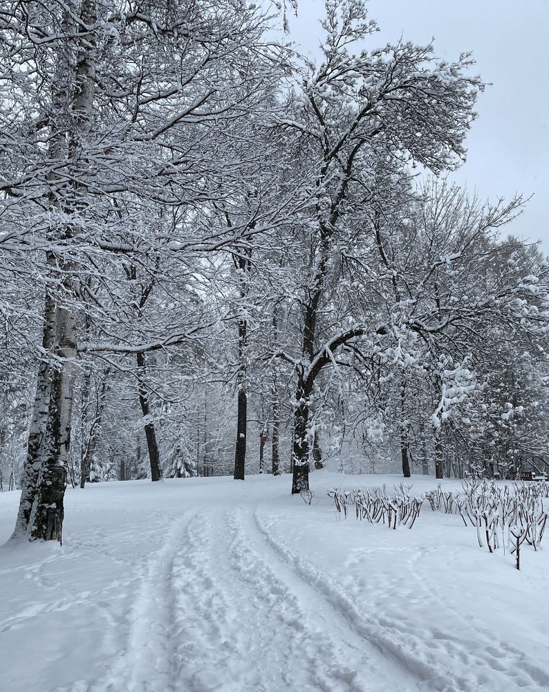 Photograph by Гордий Михаил