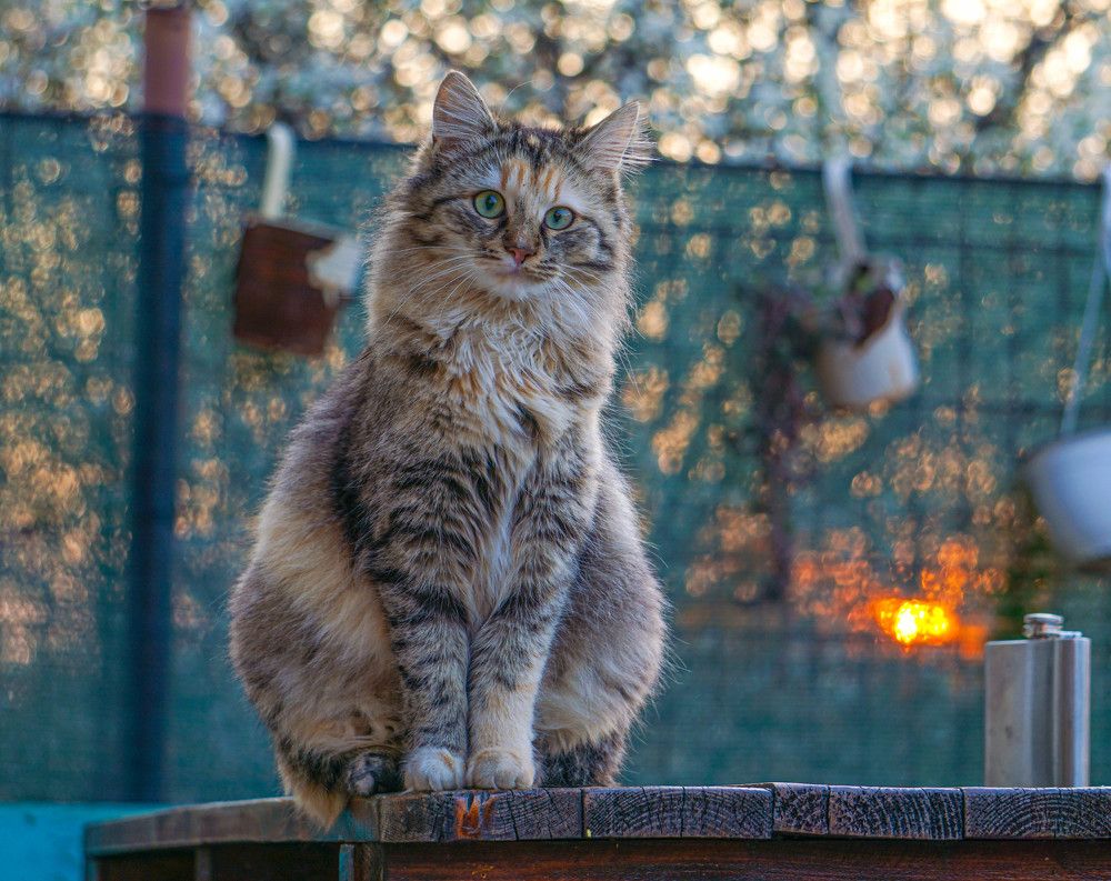 Photograph by George Catalin Serbu