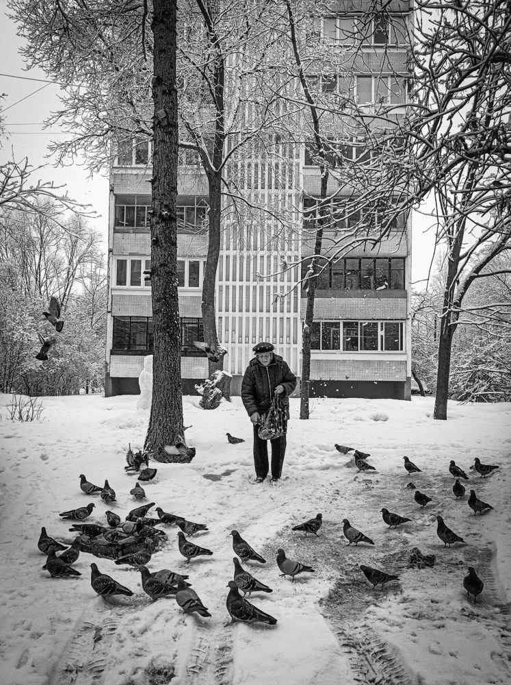 Photograph by Алексей Попов