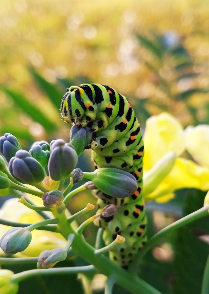 Photograph by Евсеева Валентина