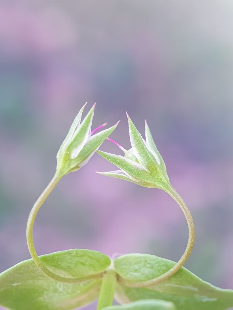 Photograph by Hannah Surji