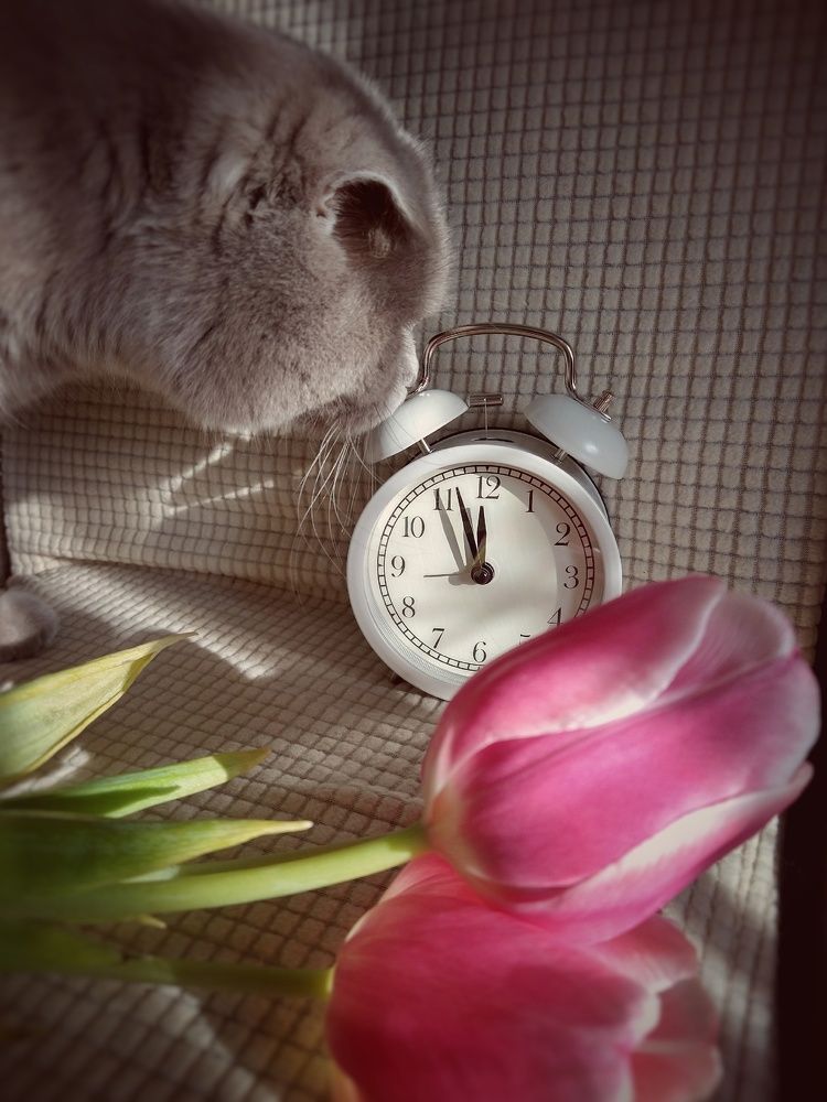 Photograph by Елена Силантьева