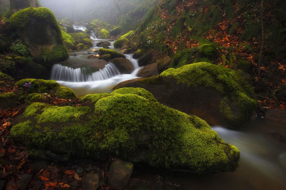 Photograph by Ali Memari