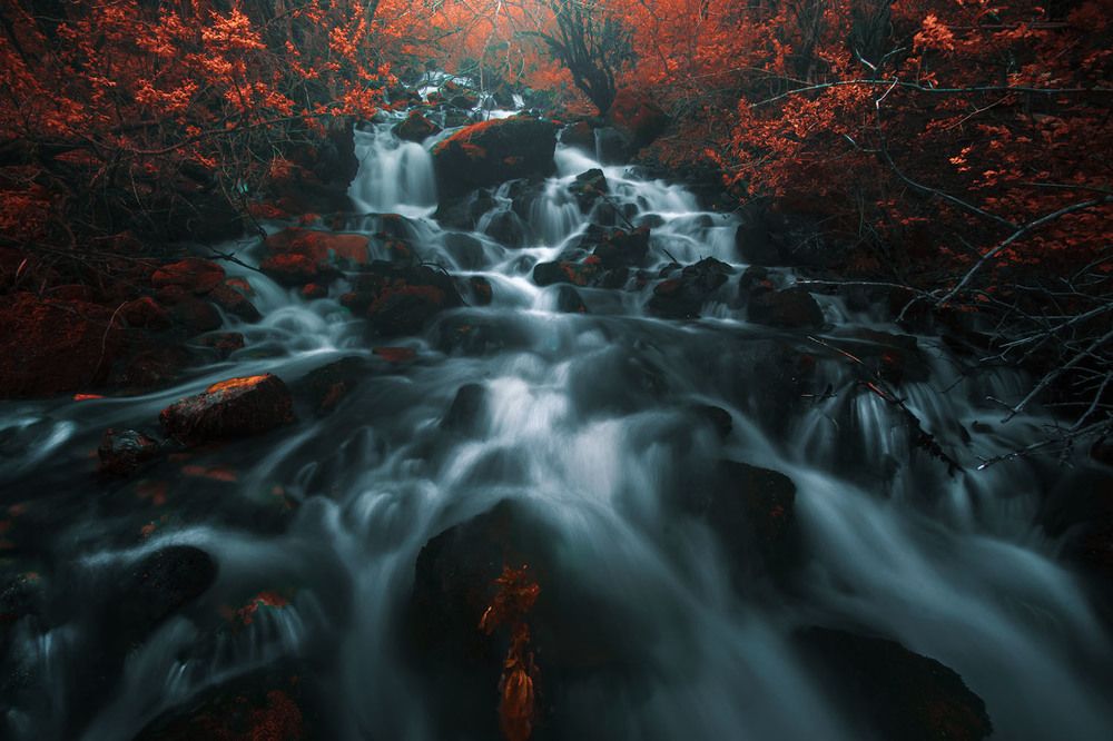 Photograph by Ali Memari