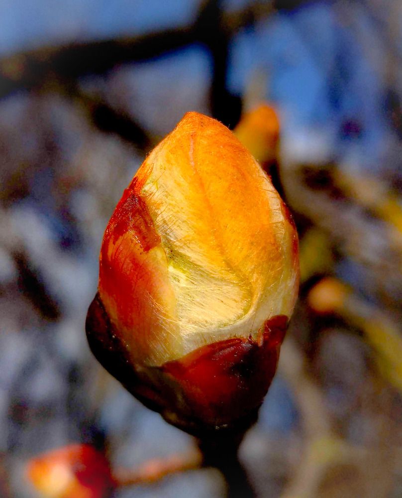 Photograph by Raitis Miksons