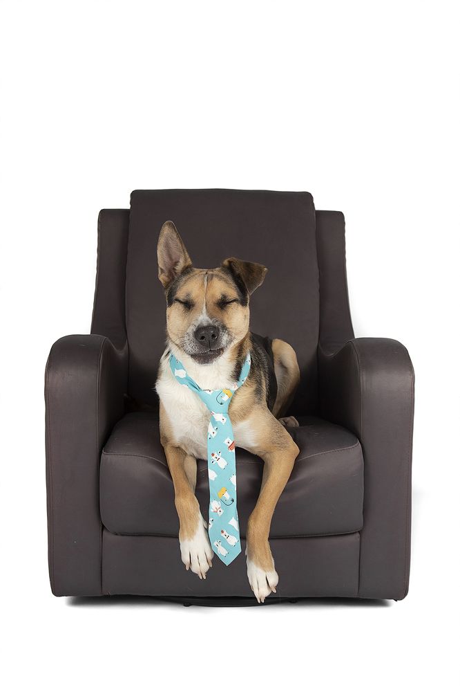 Фотография автора Alicia Mate