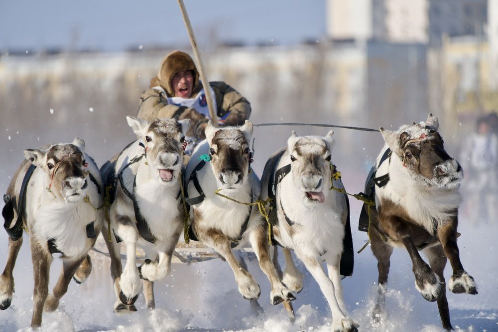 Фотография автора Viktoriya Kim