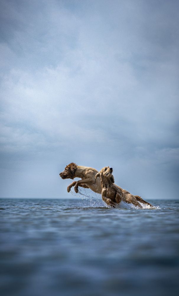 Photograph by Liu Lock