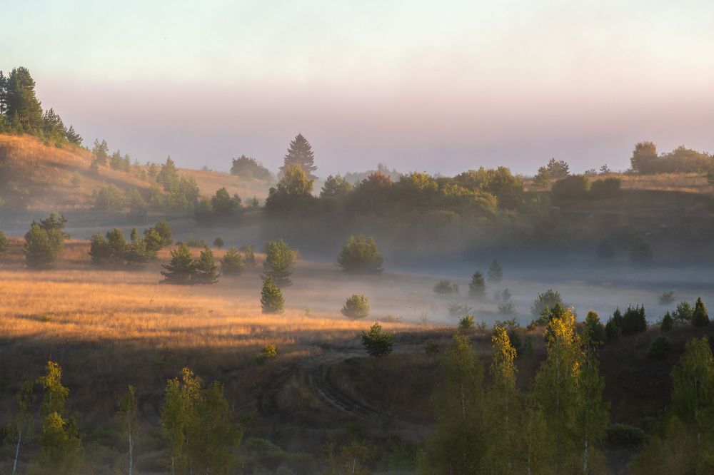 Туманное утро
