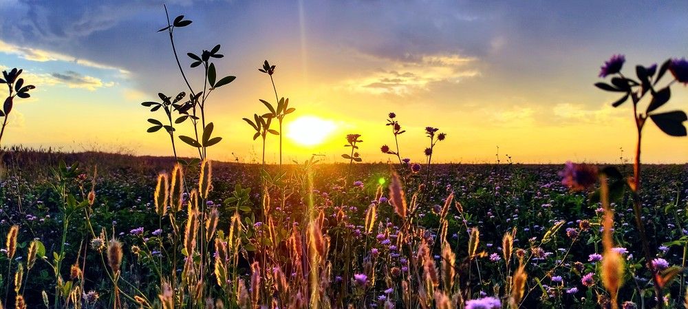 Wonderful Weather Sunset